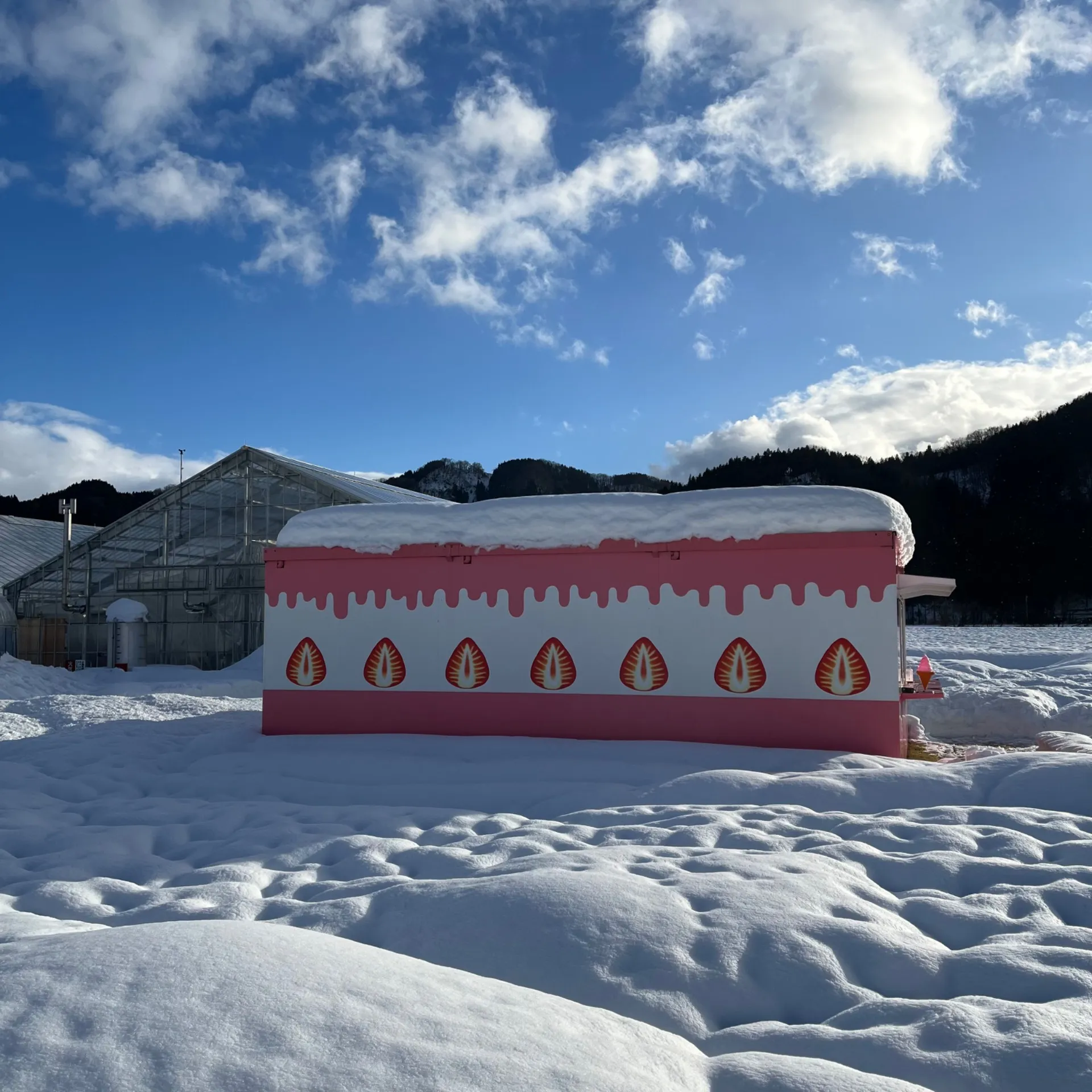 勝山市の雪が…除雪がんばります！